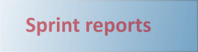 Button_sprint reports.png